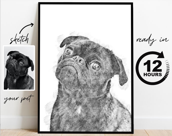 Pet painting, pet portrait, Pencil pet painting, Custom Dog Portrait, Custom pet Portrait, pet gift, Dog Painting, pet memorial gift