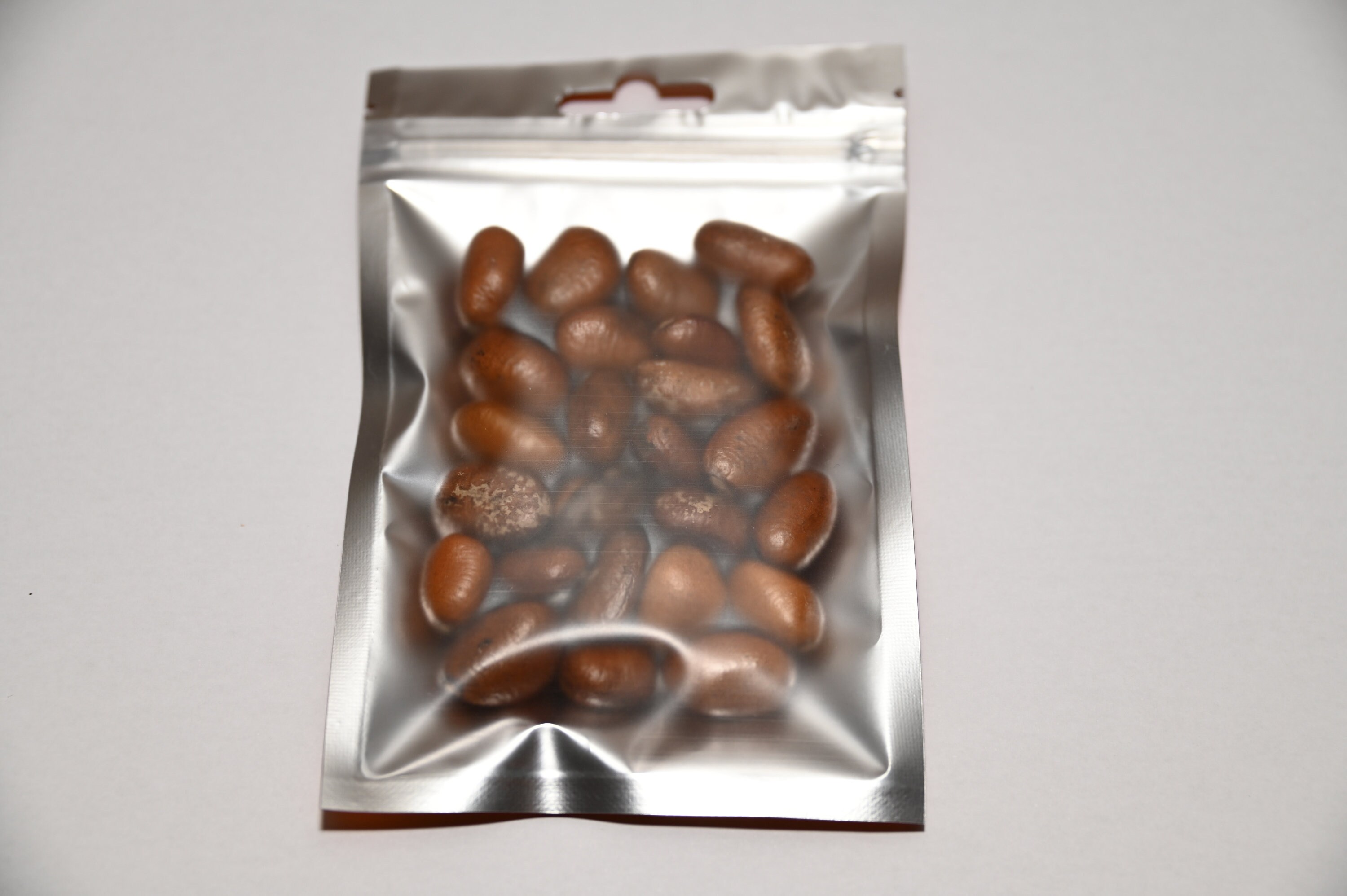 Graine Divinatoire Nzingou d'afrique Spiritualité Oracle Chaman Bwiti