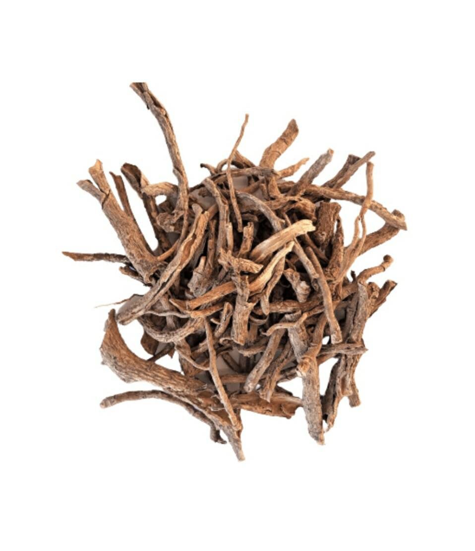 Racine de Kankan Mondia Whitei Root