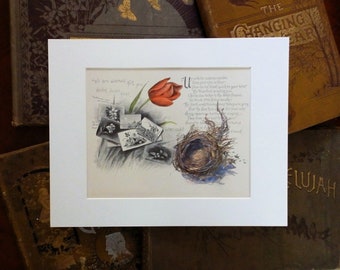 Bird Nest Painting on original book page from the 1800's, original watercolor art, gift for bird or book lover
