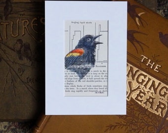 Red-winged Blackbird drawing on original book page from 1951, original colored pencil illustration, gift for birder