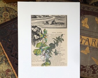 Honeysuckle Vine, original painting on antique book page, gift for gardener or book lover