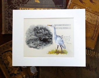 Egret Painting, original watercolor painting on original book page from the 1800's, gift for book or bird lover