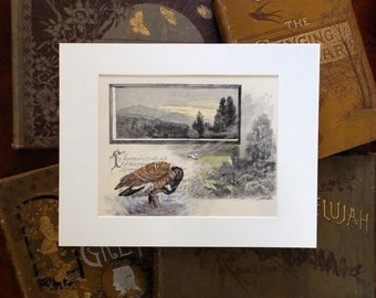 Goose Painting on original book page from the 1800's, original painting of Canada goose, wildlife art