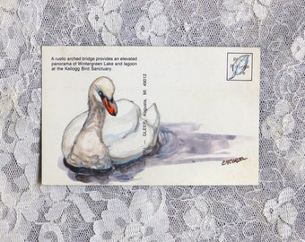 Swan Painting, original painting on vintage postcard from the Kellogg Bird Sanctuary