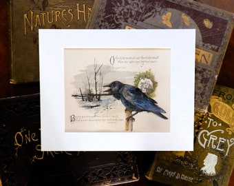 Crow Painting, original crow painting on original book page from the 1800's, gift for bird or book lover, wildlife art