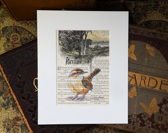 Carolina Wren Painting on original book page from the 1800's