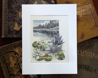 Water Lilies, original watercolor painting on original book page from the 1800's, gift for nature lovers