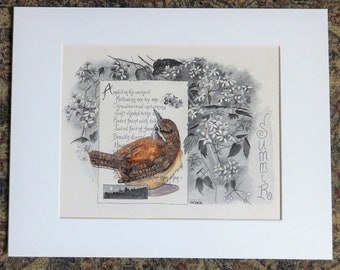Wren Painting on original book page, original painting of a Carolina Wren, gift for birder