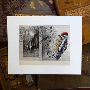 Woodpecker Painting on original antique book page from the 1800's, original painting, Yellow-bellied Sapsucker, gift for birder image 1