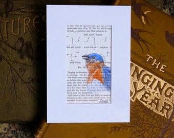 Bluebird Drawing on original book page from 1951 featuring the bluebird song diagram, gift for bird lover
