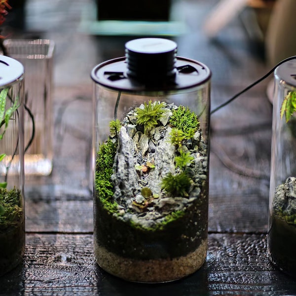 Bio Bottles Emerald Garden Mini Desktop Terrarium (Cylindrical)