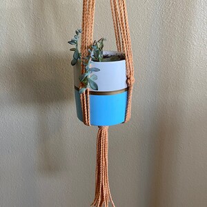 May include: A light blue and white planter with a succulent plant hanging from a macrame plant hanger with a long tassel. The hanger is made of natural colored cord.