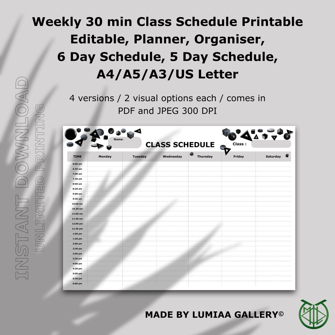 Weekly 30 Min Class Schedule Printable Editable, Planner, Organiser, 6 ...