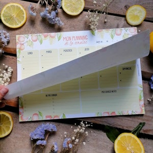 Semainier, bloc-notes semainier, printemps, été