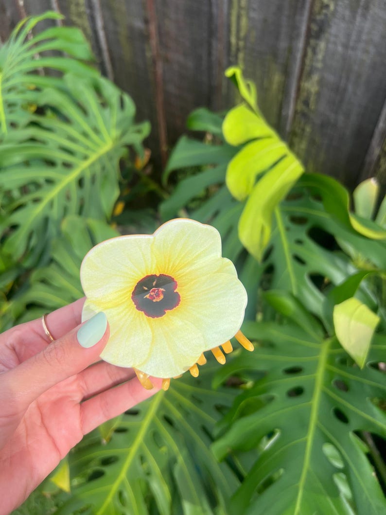 May include: A light yellow flower with a dark center and yellow stamens is held in a hand with a light green manicure. The flower is in front of large green leaves and a wooden fence.