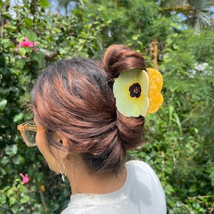 May include: A yellow and white flower hair clip is worn in a bun. The hair clip has a black center and is made of a light material. The person is wearing a white shirt and gold-rimmed glasses. The background is a lush green garden.