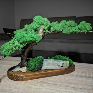 Albero Bonsai Naturale fatto a mano in muschio, legno e pietre