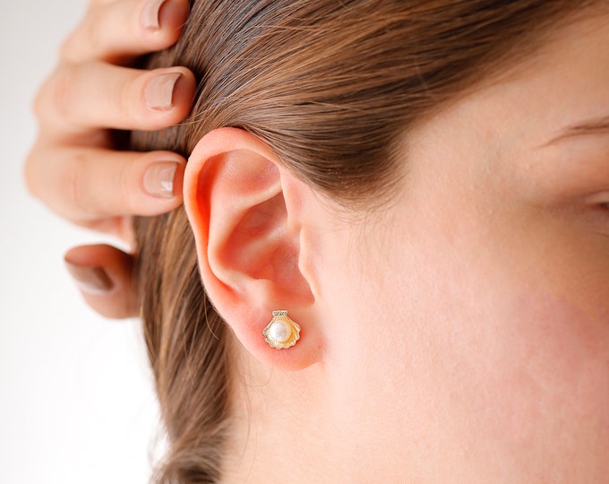 14k Gold Cockle Shell Stud Earrings | SeaShell Earrings Real White Freshwater Pearl, Minimalist Ocean Earrings, Birthday Gift | Gift for Her