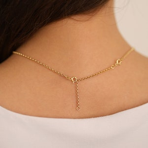 May include: A gold chain necklace with a lobster clasp and an extender chain.