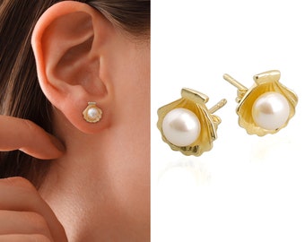 14k Gold Cockle Shell Stud Earrings | SeaShell Earrings Real White Freshwater Pearl, Minimalist Ocean Earrings, Birthday Gift | Gift for Her
