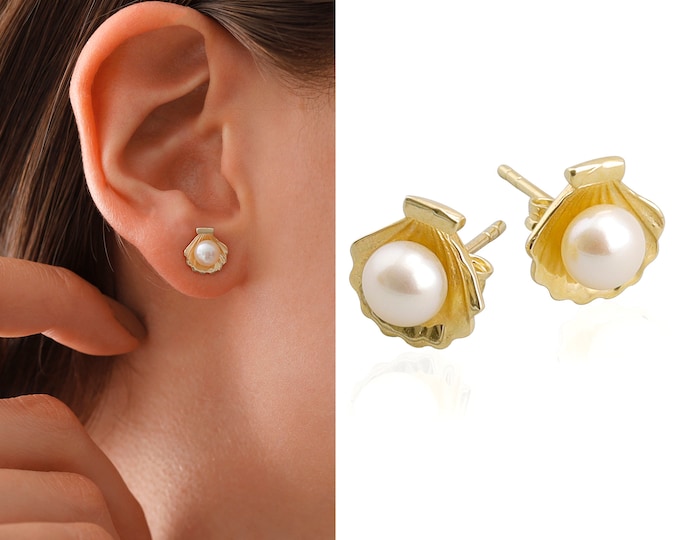 14k Gold Cockle Shell Stud Earrings | SeaShell Earrings Real White Freshwater Pearl, Minimalist Ocean Earrings, Birthday Gift | Gift for Her
