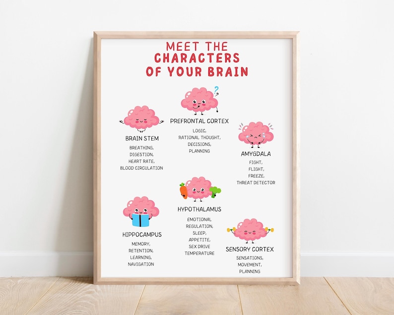 brain poster therapist room