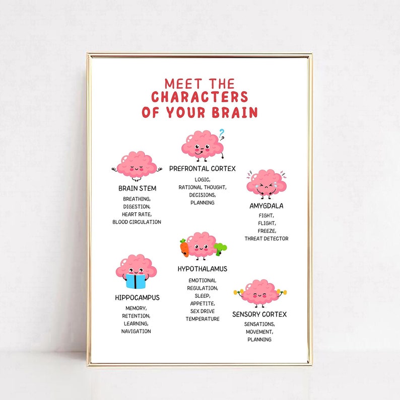 May include: A colorful infographic illustration of the human brain with cartoon characters representing different parts of the brain. The brain parts are labeled with their names and functions, such as the prefrontal cortex, brain stem, amygdala, hypothalamus, hippocampus, and sensory cortex.