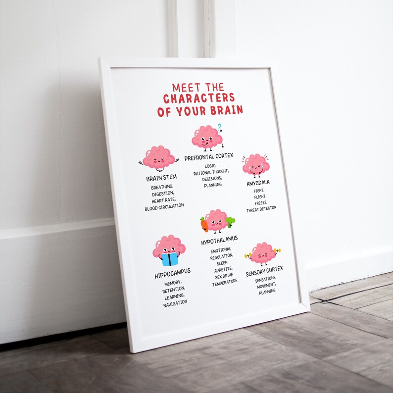 May include: A white poster with a pink brain illustration for each part of the brain. The poster is titled "Meet the Characters of Your Brain". Each brain has a different expression and is labeled with the name of the brain part and its functions.