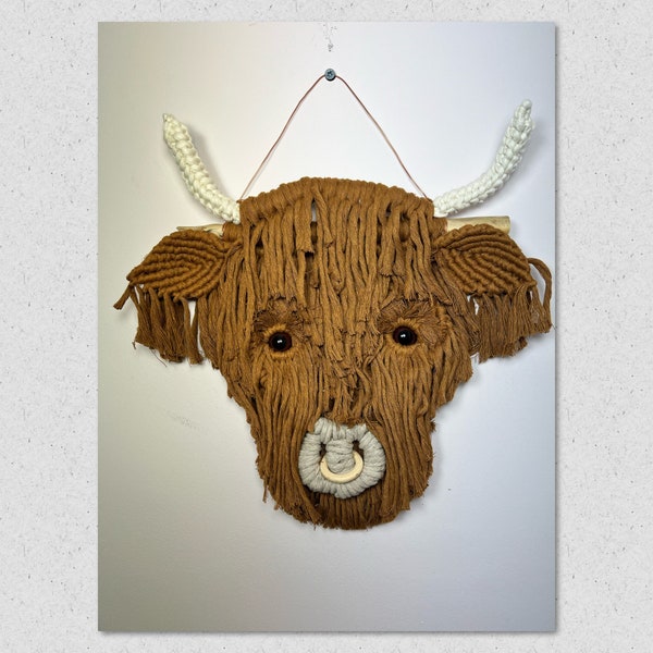 Macrame Pattern Tutorial Beginner Douglas the Highland Cow