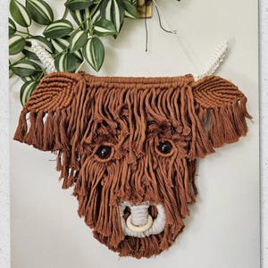Macrame PDF pattern Tutorial Beginner Douglas the Highland Cow