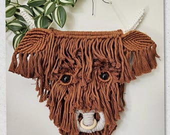 Macrame PDF pattern Tutorial Beginner Douglas the Highland Cow