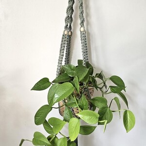 Peut inclure: Un porte-plante en macramé gris avec des perles en bois et une plante verte dans un panier tissé suspendu à un crochet sur un mur blanc.