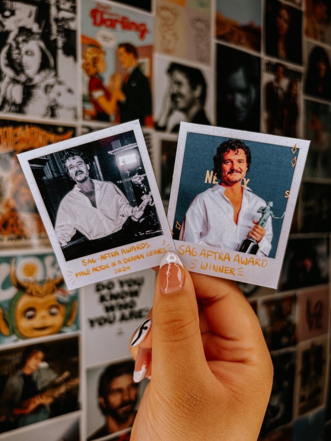 Award Winning Pedro Polaroid Stickers - Etsy