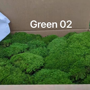May include: A box filled with preserved green moss, labeled "Green 02".
