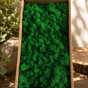May include: A rectangular cardboard box filled with vibrant green preserved reindeer moss. The moss has a dense, textured, and clumped appearance, completely covering the interior base of the brown container, creating a uniform surface.