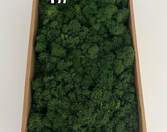 May include: A rectangular cardboard box filled with vibrant green moss. The moss is dense and textured, creating a natural, organic appearance. The number "1#" is printed in white on the upper left corner of the box.