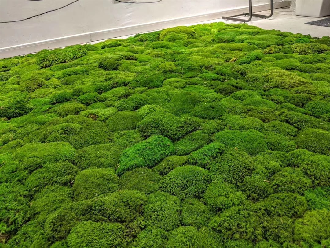 High Quality Bulk Moss Pillow, Preserved Pillow  Moss,  Green Decoration ,Home Decor Moss Block,Pole Moss , Wall Decor Moss