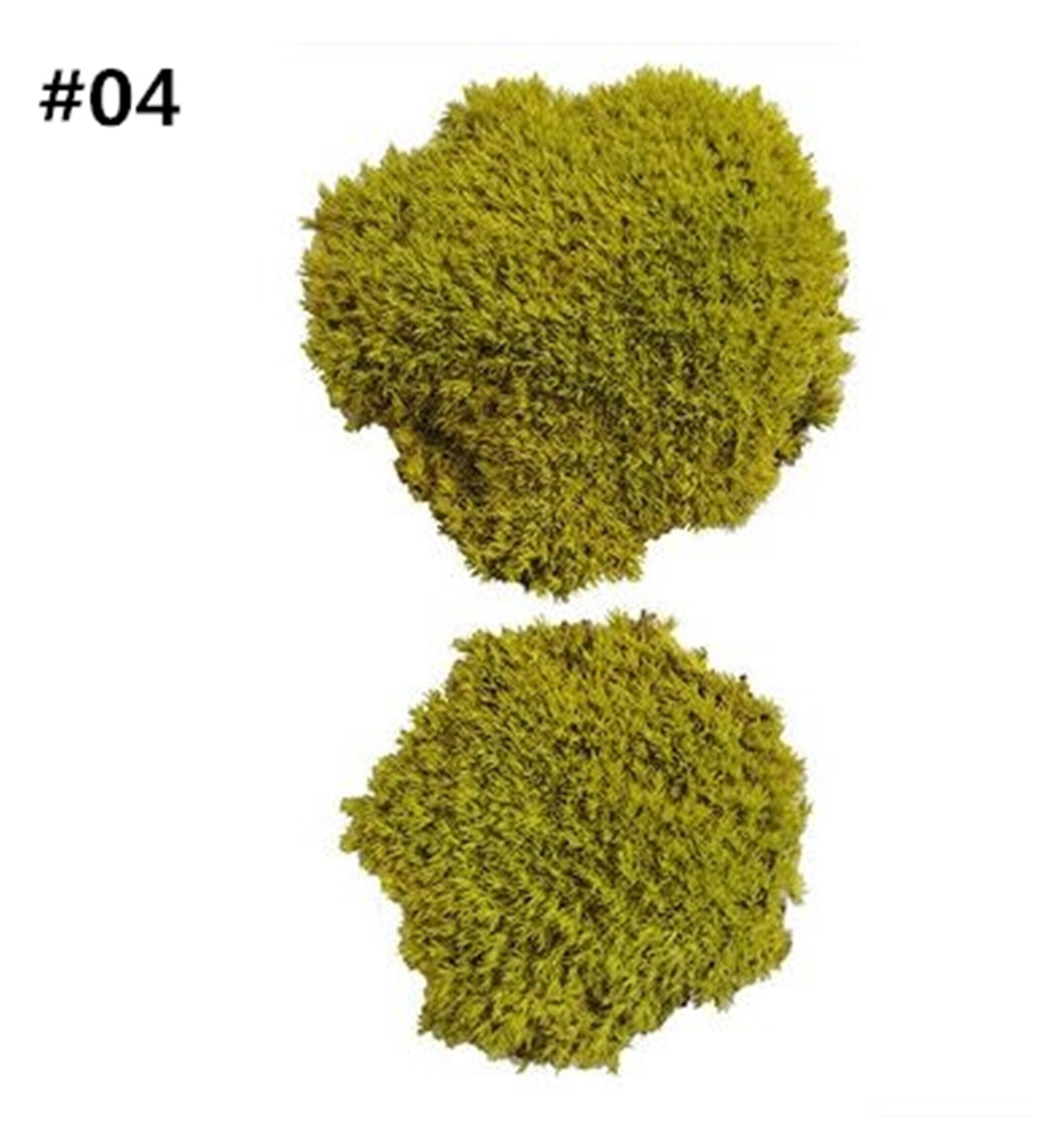 Free Shipping Preserve Moss Pillow DIY Decoration Fresh Moss Etsy