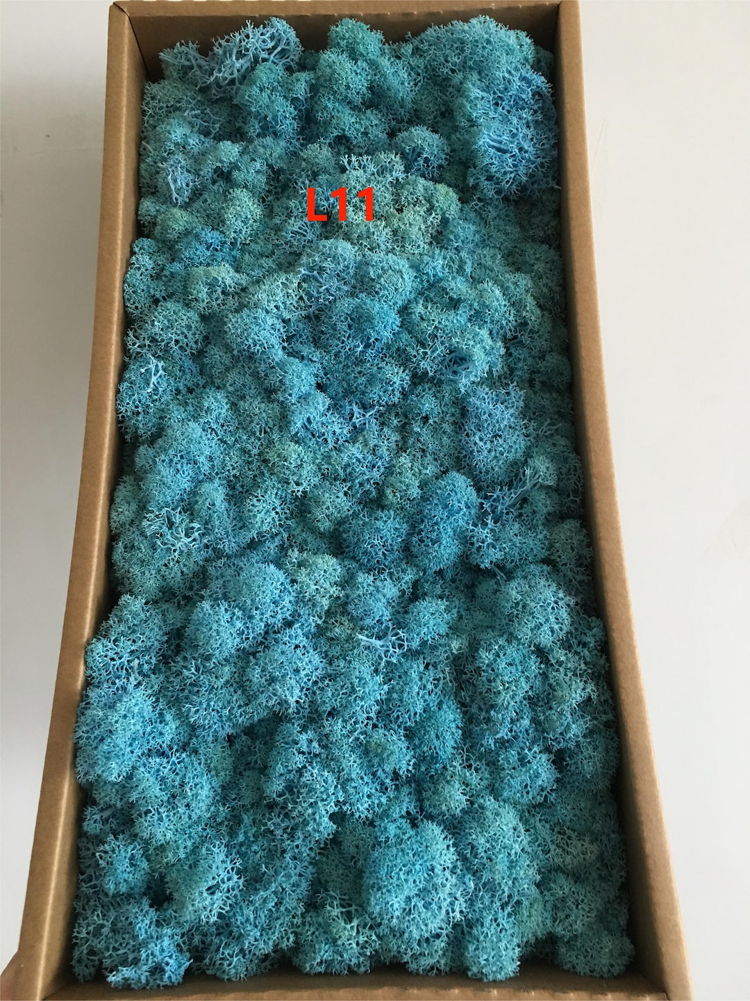 5oz Natural Preserved Colored Reindeer Moss, Craft Moss for Terrariums ...