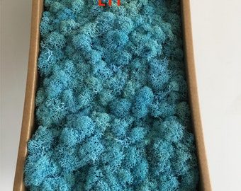 15oz Preserved Reindeer Moss: Natural Colored Craft Moss