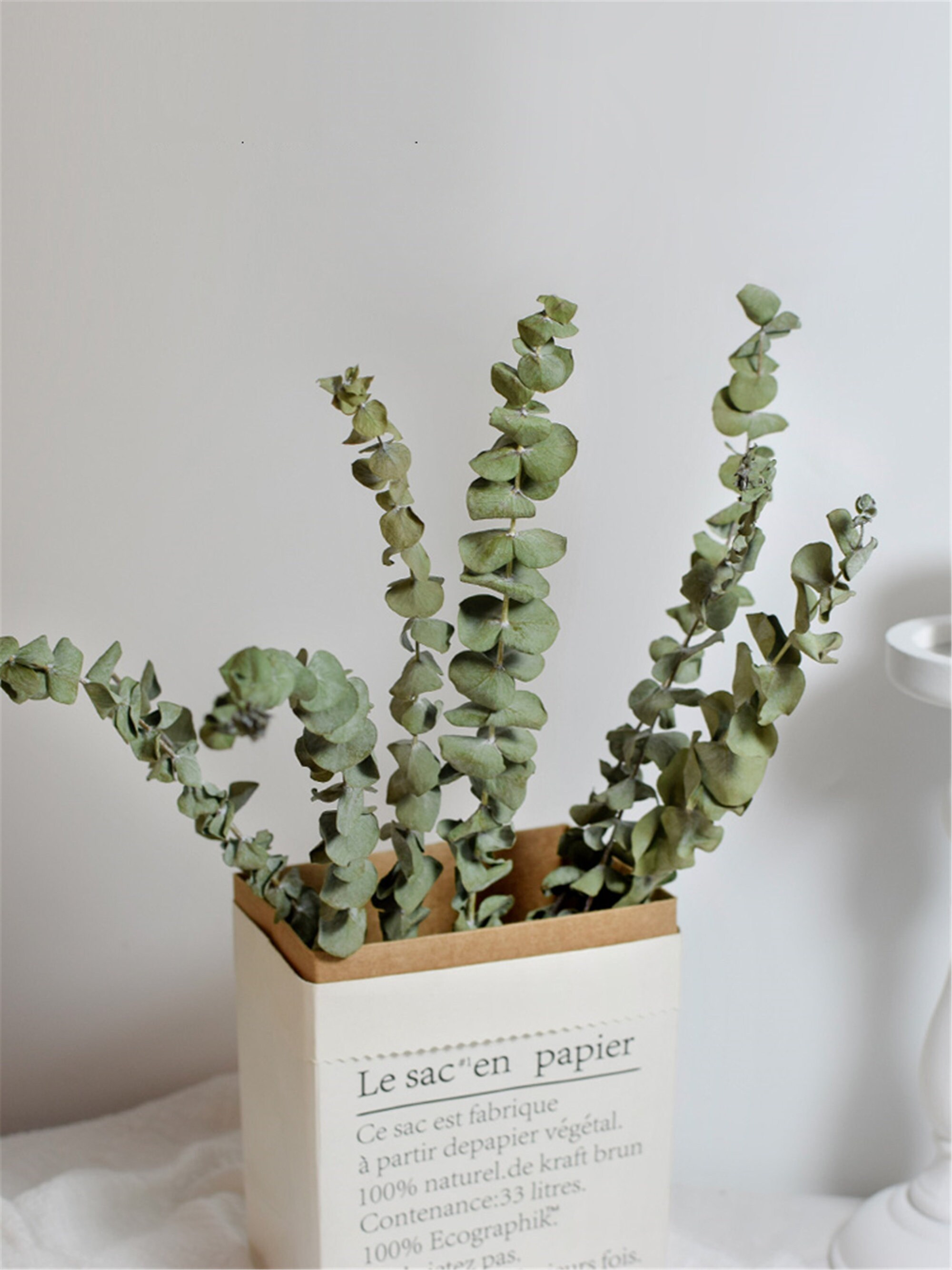 Dried Flower Bouquet/ Eucalyptus Leaves/ Dried Bouquet/ Flower Etsy