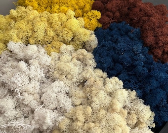 Peut inclure: Une collection de mousse de renne préservée dans diverses couleurs, incluant jaune vif, jaune clair, blanc, beige, bleu foncé et brun profond. La mousse présente une texture dense, ramifiée et spongieuse, disposée en amas de teintes distinctes.