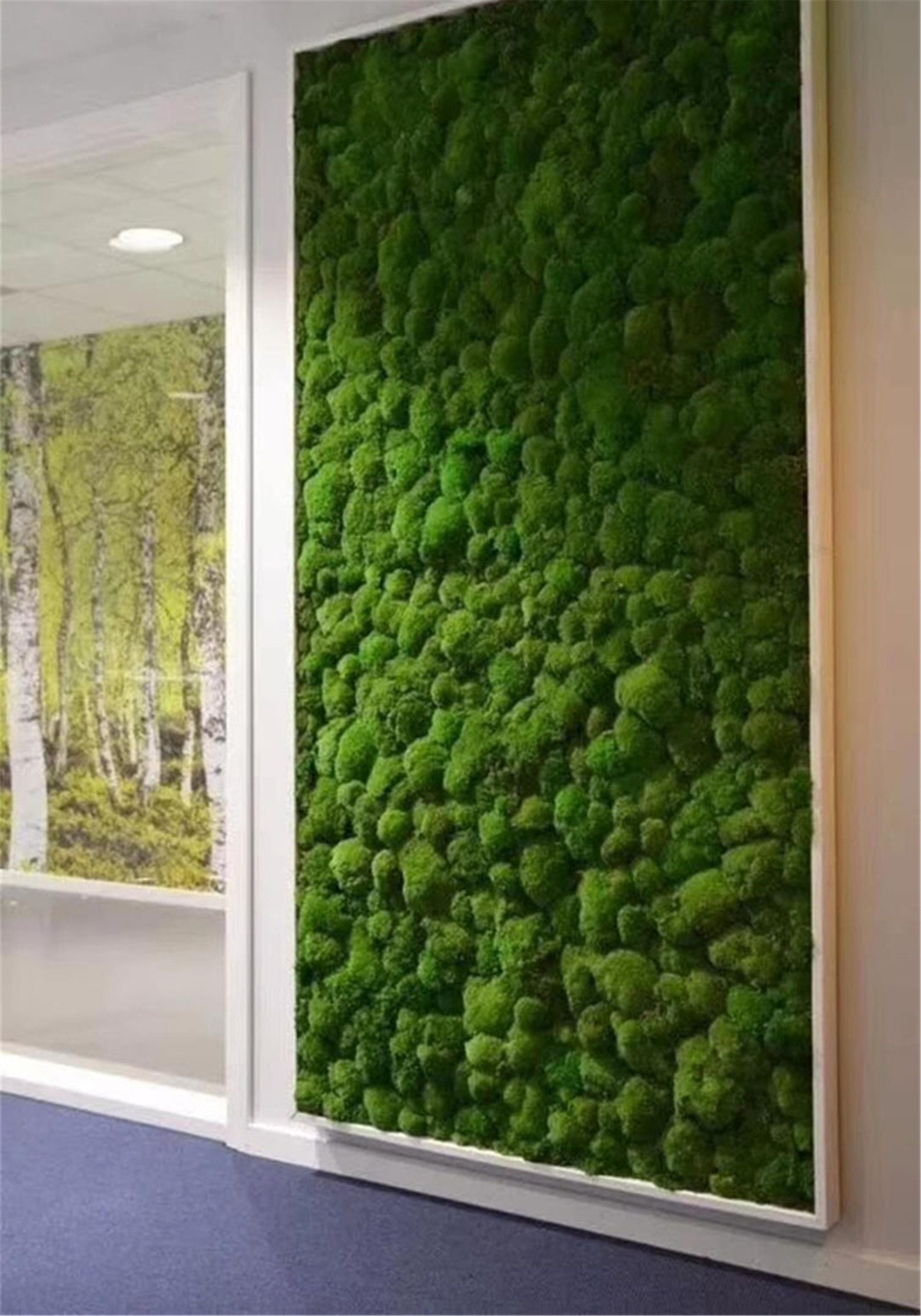 Free Shipping Preserve Moss Pillow DIY Decoration Fresh Moss Etsy