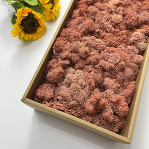 May include: A rectangular box filled with preserved moss in shades of pink and brown. The moss is arranged in a dense, textured pattern.