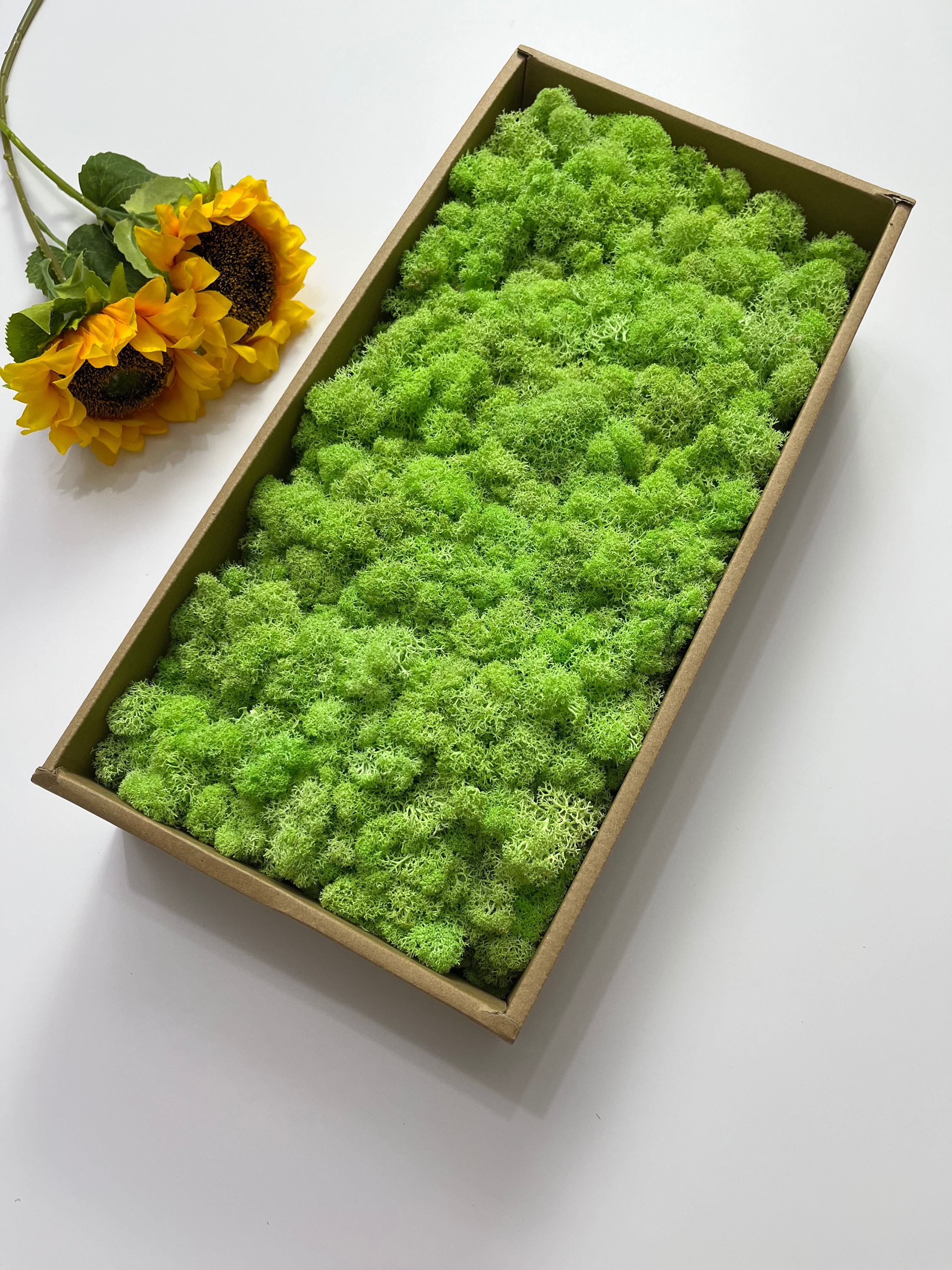 10OZ Fake Moss Artificial Moss for Potted Plants Greenery Moss Home Decor