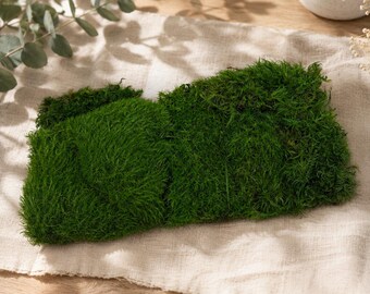 Musgo de almohada Feleece Premium de 3 colores, musgo verde para terrario, jardín de hadas, bonsái, vivario, arte con musgo y decoración del hogar, pared de musgo