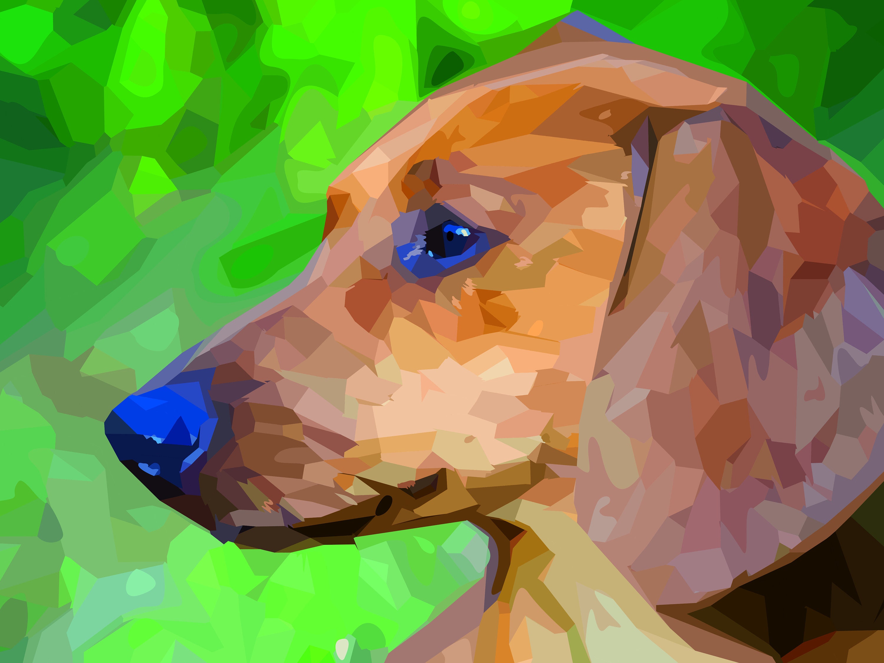 Bespoke pet portraits illustration abstract photography Etsy