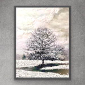 Frosty Solitude