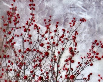Encaustic mixed media photgraph, Red berry branches